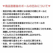 ボールテント カラーボール付き プール テント キッズハウス 組み立て不要 家 テラス 秘密基地 収納 コンパクト おもちゃ 知育 玩具pa092-w_画像7