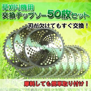 送料無料 チップソー 50枚 お得なセット 替刃 交換 刃こぼれ 刃毀れ 欠け 摩耗 軽い 軽量 草刈機 草刈り機 255mm 25.4mm 40T 刃数 zk126-50