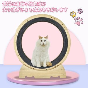 猫 トレッドミル キャット ホイール 安い ローラー ルームランナー 回し車 観覧車 安全 エクササイズ おもちゃ ランニング ペット pt071