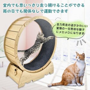  cat to red Mill cat wheel cheap roller room Runner hamster wheel viewing car safety exercise toy running pet pt071