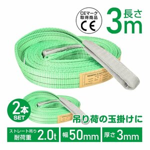 送料無料 スリングベルト パレット吊り ベルトスリング 両アイ型 3m 2本 玉掛けスリング 運搬ベルト 重量物 運搬 クレーン 倉庫 sg177-3m