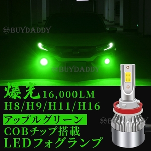 鬼光 LED フォグランプ H8 H11 H16 グリーンアップル ライム 12v 24v フォグライト 送料無料 送料無料