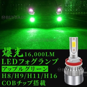 爆光 LED フォグランプ H8 H11 H16 アップルグリーン 12v 24v フォグライト 送料無料 送料無料