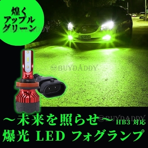 24000LM ライムグリーン LED フォグランプ HB3 アップルグリーン 12v～24v フォグライト 送料無料 大人気