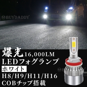 爆光 LED フォグランプ H8 H11 H16 ホワイト 12v 24v フォグライト 送料無料 送料無料
