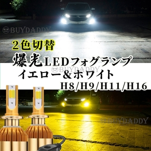 大人気 9600lm LED フォグランプ H8 H16 イエロー ホワイト 12v 24v フォグライト 送料無料 送料無料