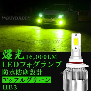 爆光 16000lm LED フォグランプ HB3 グリーンアップル 12v 24v フォグライト 送料無料 送料無料