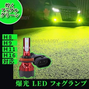 24000LM ライムグリーン LED フォグランプ H8 H11 H16 アップルグリーン 12v～24v フォグライト 送料無料 送料無料