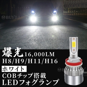 大人気 16000lm LED フォグランプ H8 H11 H16 ホワイト 12v 24v フォグライト 送料無料 初期保証
