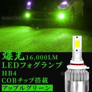 爆光 16000lm LED フォグランプ HB4 グリーンアップル 12v 24v フォグライト 送料無料 送料無料