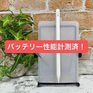 Apple Pencil 2 第2世代 第二世代 A2051 MU8F2J/A 11