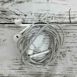 apple earpods with lightning connector 純正 イヤホン iPhone iPad