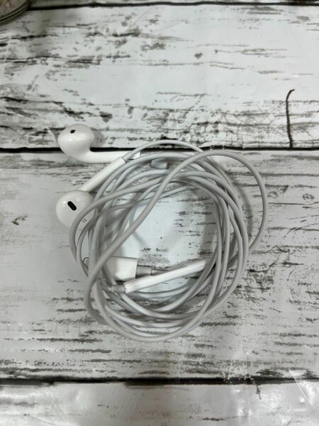 apple earpods with lightning connector 純正 イヤホン iPhone iPad