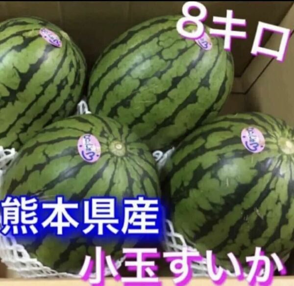 熊本県産 小玉すいか 優品3玉～6玉入8キロ～