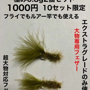 管釣り大物専用フェザー&フライ！初心者でも大型トラウトが狙える！足柄蛇尾川すその