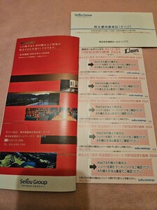 西武鉄道 株主優待券一式 1000株 乗車証(きっぷ)10枚 西武ライオンズ内野指定席引換券5枚 1000円共通割引券10枚 他 西武ホールディングス 