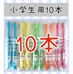 小学生シュシュ歯ブラシ10本