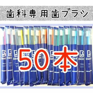 歯科専用歯ブラシ50本