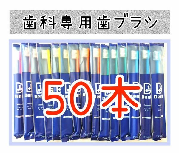 歯科専用歯ブラシ50本