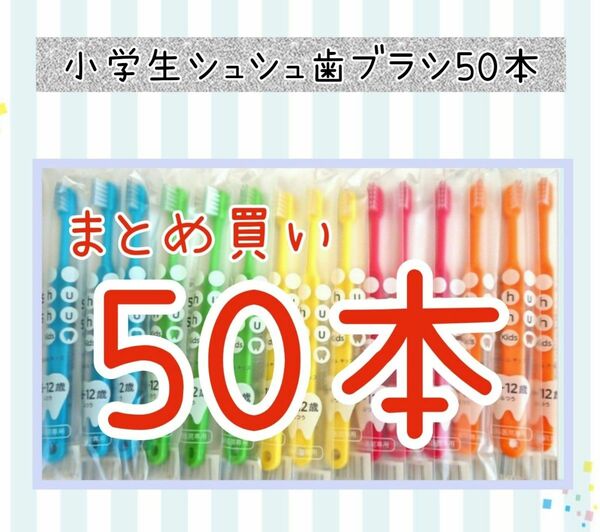 小学生シュシュ歯ブラシ50本