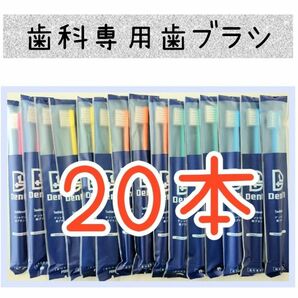 歯科専用歯ブラシ20本