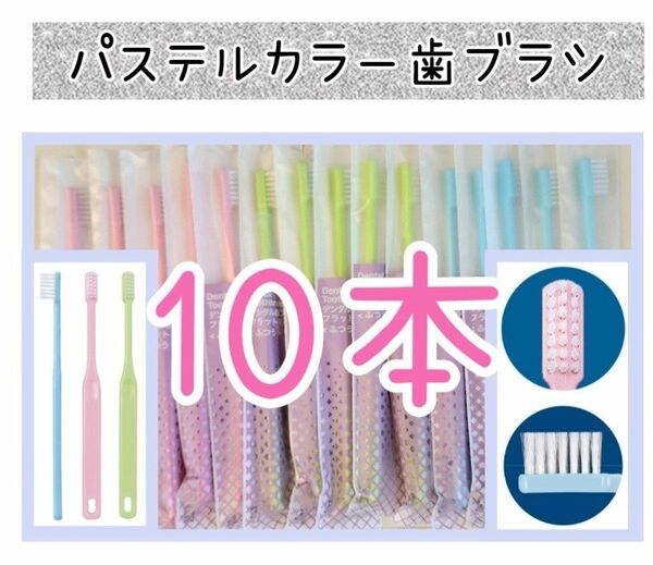 歯科専用歯ブラシパステルカラー10本