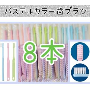 歯科専用歯ブラシパステルカラー歯ブラシ8本