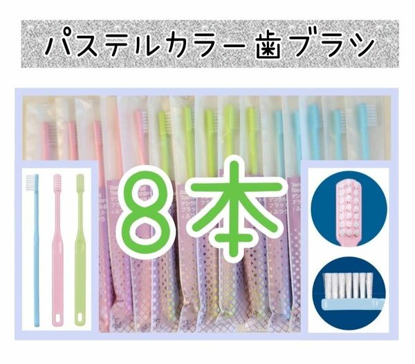 歯科専用歯ブラシパステルカラー歯ブラシ8本