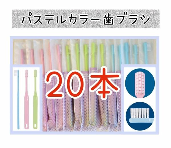 歯科専用歯ブラシパステルカラー20本