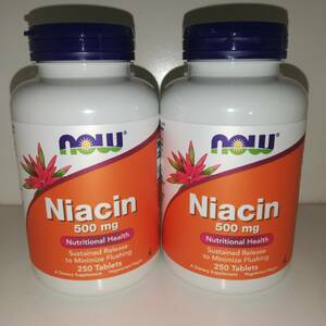 [2 piece set ] niacin 500mg vitamin B3 250 bead high capacity NOW Foodsnauf-z[ new goods * including carriage ]