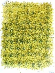  business use pressed flower race flower yellow color .1000 wheel go in high capacity 1000 sheets dry flower deco resin . seal 