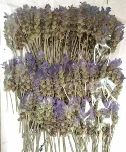  business use pressed flower lavender high capacity 300 sheets dry flower deco resin . seal 
