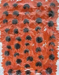  для бизнеса засушенный цветок материалы Mini hi вокруг красный orange 200 колесо большая вместимость 200 листов сухой цветок декоративный элемент resin . печать 