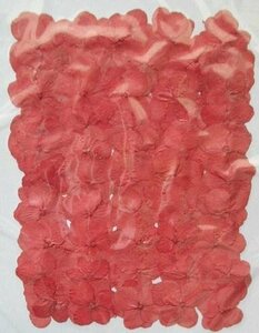  business use pressed flower hydrangea red dyeing high capacity 500 sheets dry flower deco resin . seal 