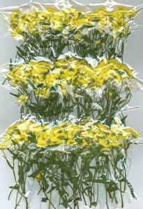  business use pressed flower hinagik branch attaching yellow color dyeing high capacity 300 sheets dry flower deco resin . seal 