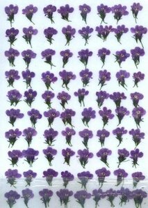  business use pressed flower lobelia purple pattern attaching high capacity 500 sheets dry flower deco resin . seal 