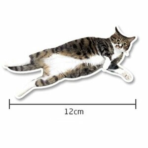 超リアル！動物ステッカーH 【トラ猫 ゴロゴロ CAT】防水 壁飾り 壁紙 はがせるシール DIY 壁 家具 トイレ デコ スーツケース などに