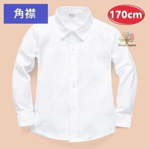  хлопок 100% угол воротник блуза [170cm] рубашка белый рубашка школьная форма формальный праздничные обряды форма 