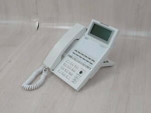 ▲Ω YJ 186 保証有 EPH01-12GSDA() NTT 12ボタン電話機 HI-12G-TELSDA 同等品 18年製 綺麗