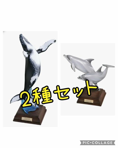 642 海洋Ⅰ　特装版　ガチャ　2種 ネイチャーテクニカラー いきもん ザトウクジラ ハンドウイルカ