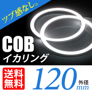 COB lighting ring / white / white /2 piece /120mm/ head light processing projector woofer ./ cat pohs free shipping 