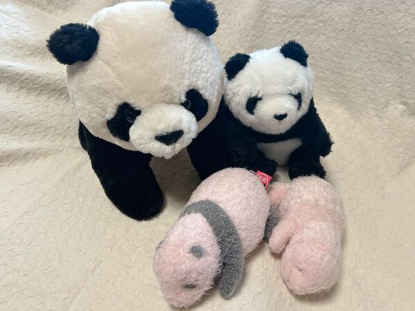 上野動物園 シャンシャン 2歳記念 赤ちゃん ぬいぐるみ 4個セット 香香 パンダ サンアロー 動物園ぬいぐるみ 