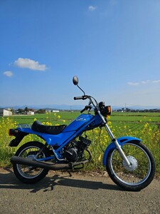 ホンダ ラクーン 1980年 実動車 レストア済 美車 キック一発 走行60km HONDA 検索 mb50 mbx50 mt50