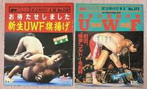 週刊プロレス増刊号「新生UWF」2冊＋ゴング格闘技増刊号「格闘技名勝負100」_画像1