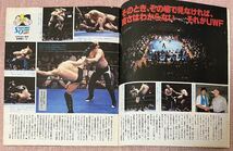 週刊プロレス増刊号「新生UWF」2冊＋ゴング格闘技増刊号「格闘技名勝負100」_画像3