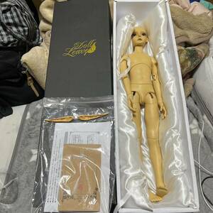 doll leaves Evan-Wheat Skin 60cm級 キャストドール スーパードルフィー