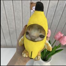 バナナ猫　2個セット　猫ミーム　TikTok 大人気　バナナキャット　ネコマニ　SNS キャラクター_画像3