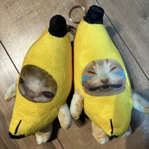 バナナ猫　2個セット　猫ミーム　TikTok 大人気　バナナキャット　ネコマニ　SNS キャラクター_画像5