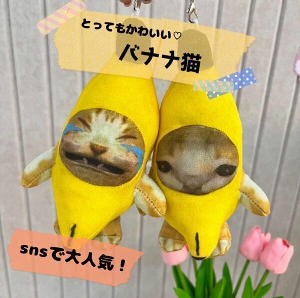 バナナ猫　2個セット　猫ミーム　TikTok 大人気　バナナキャット　ネコマニ　猫　sns人気