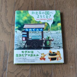 かえるの国へようこそ！　ケロッコ村のゆかいな仲間 